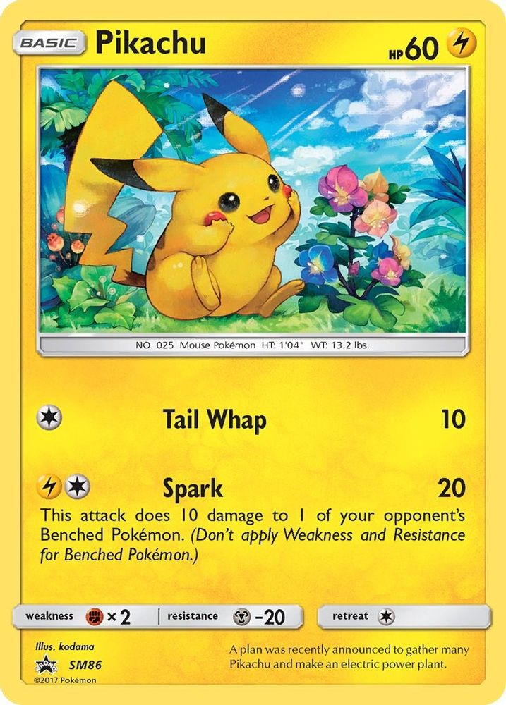 Pikachu (SM86/248) - Holofoil - Promo