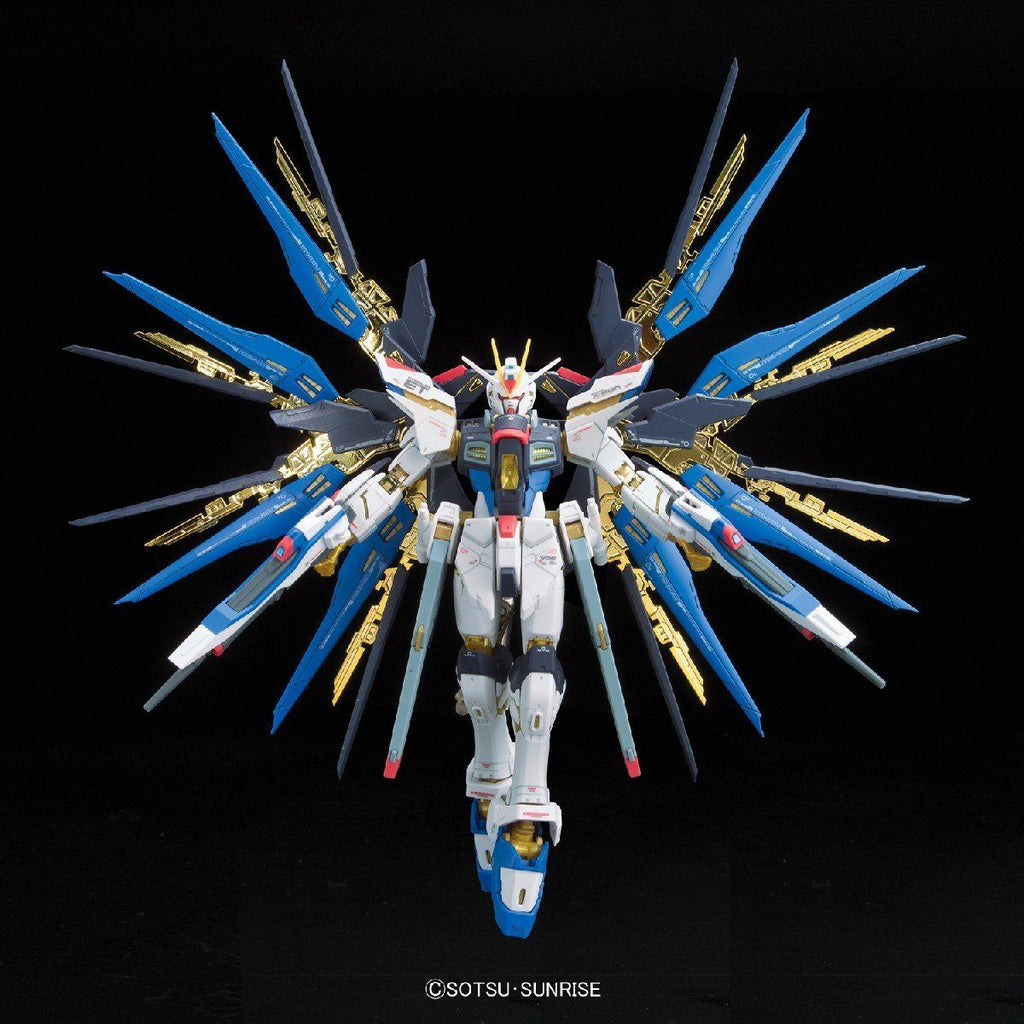 Gundam 1/144 RG #14 Seed Destiny ZGMF-X20A Strike Freedom Gundam Model Kit