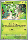 Sprigatito (012/193) - Common