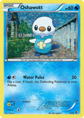 Oshawott (4/12) - Holofoil - Promo