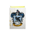 Dragon Shield - 100ct Standard Size - Art - Brushed Ravenclaw