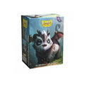 Dragon Shield Sleeves: Brushed - The Pandragon (100)