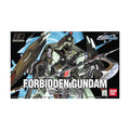 HGCE R09 Forbidden Gundam 1/144
