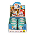 Japanese Fish Market Collectible Capsule