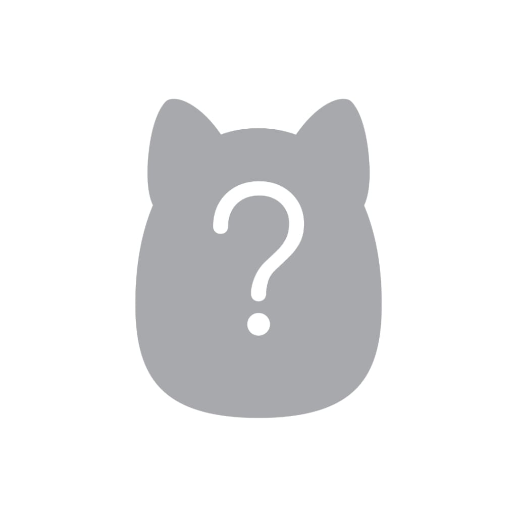 Mystery Squishmallow