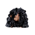 One Piece Marshall D. Teach FigLife! Black Hole!!! Statue