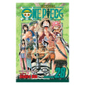 One Piece, Vol. 28