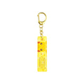 Pokémon Key Chain