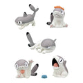Sharkitty Blind Box