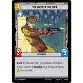 Volunteer Soldier (248/252)